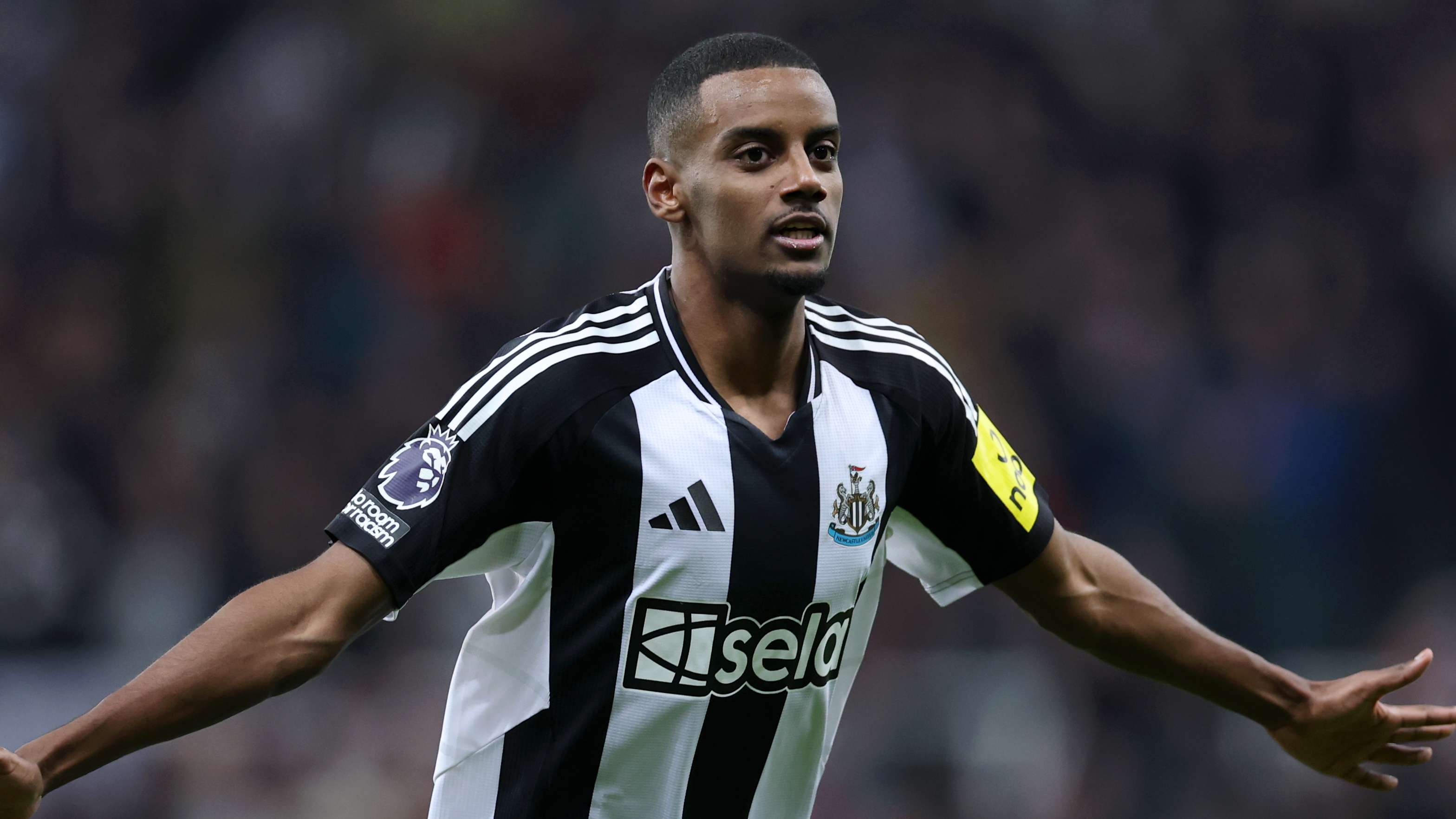 这一主题 这一主题